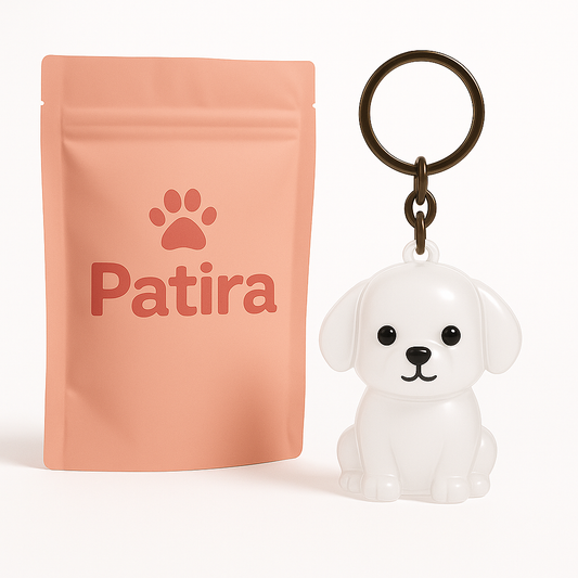 Köpek Anahtarı